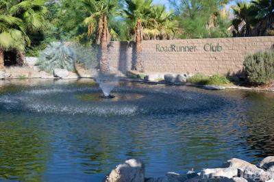 Photo 5 of 45 of park located at 1010 Palm Canyon Dr Borrego Springs, CA 92004