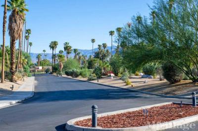Photo 4 of 45 of park located at 1010 Palm Canyon Dr Borrego Springs, CA 92004