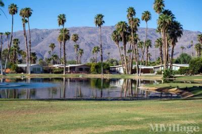 Photo 2 of 45 of park located at 1010 Palm Canyon Dr Borrego Springs, CA 92004