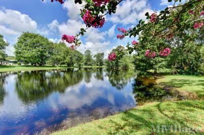 Photo 4 of 7 of park located at 711 Lemon Avenue Lake Helen, FL 32744