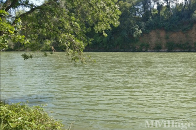 Photo 5 of 13 of park located at 901 N Market St Redding, CA 96003