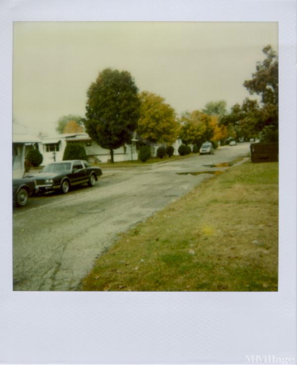 Photo of Andrews Trailer Court, Plainwell MI