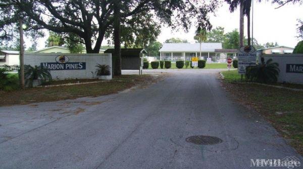 Photo of Marion Pines Mobile Home Park, Ocala FL