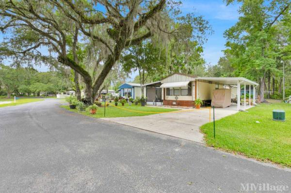 Photo of Bedrock Singing Forest, Floral City FL