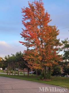 Photo 2 of 26 of park located at 415 North Elkhart Street Wakarusa, IN 46573