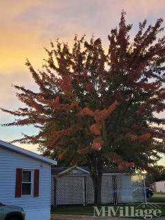 Photo 3 of 26 of park located at 415 North Elkhart Street Wakarusa, IN 46573