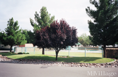 Photo 5 of 6 of park located at 3815 S Main St Mesilla Park, NM 88047