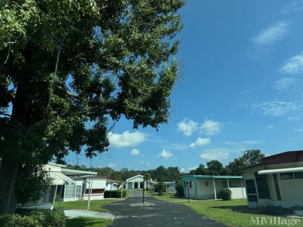 Photo of Green Oaks Manor, Belleview FL