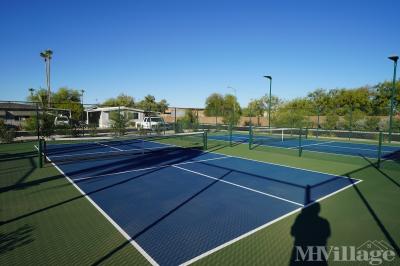 Photo 3 of 29 of park