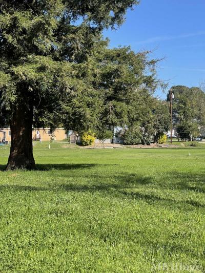 Photo 2 of 4 of park located at 24850-5th Avenue Los Molinos, CA 96055