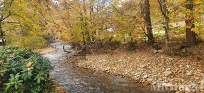 Photo 4 of 5 of park located at 276 Rocky Top Road Maggie Valley, NC 28751
