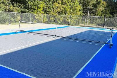 Photo 5 of 6 of park