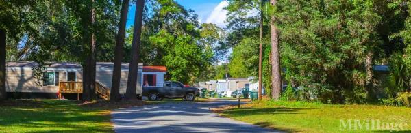 Photo of Azalea, Thomasville GA