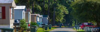 Photo 4 of 11 of park located at 156 Braleigh Lane Thomasville, GA 31792
