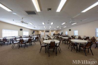 Photo 5 of 9 of park