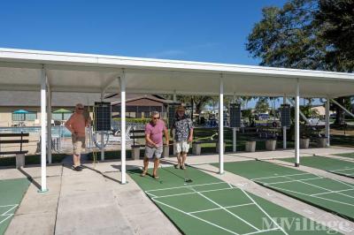 Photo 4 of 9 of park