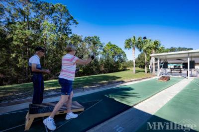 Photo 2 of 9 of park