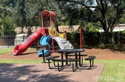 Photo 3 of 4 of park