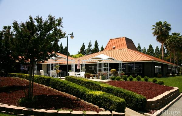 Photo of Delta Hawaii , Pittsburg CA