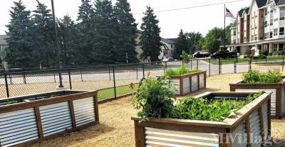 Photo 3 of 5 of park