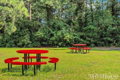 Photo 3 of 13 of park located at 903 Old Magnolia Drive Conway, SC 29526