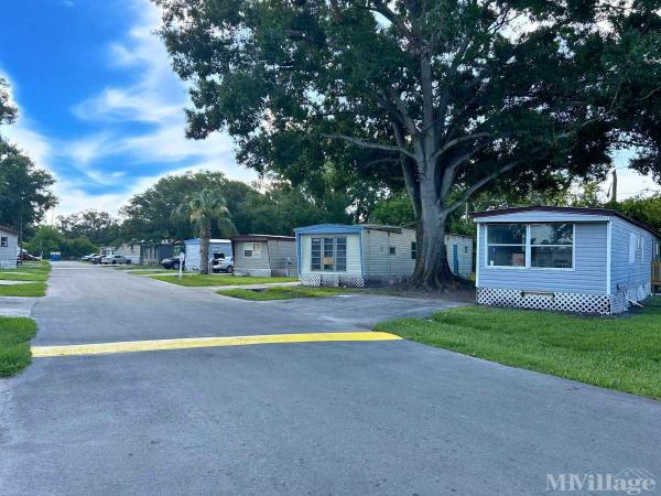 Photo of Glennwood , Tampa FL