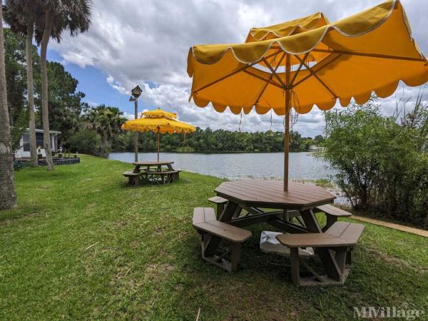 Photo 1 of 2 of park located at 2300 South Nova Road South Daytona, FL 32119