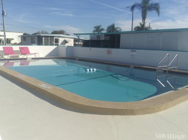 Photo of Sun Seair, Largo FL