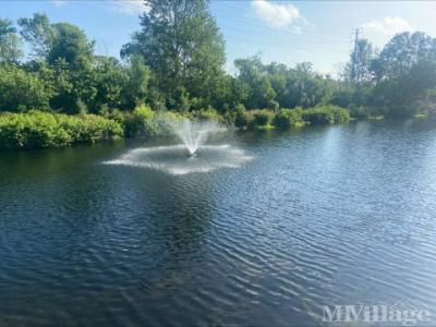 Photo 2 of 5 of park located at 1038 Sparrow Ln. Tarpon Springs, FL 34689