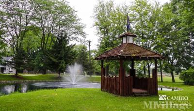 Photo 3 of 16 of park