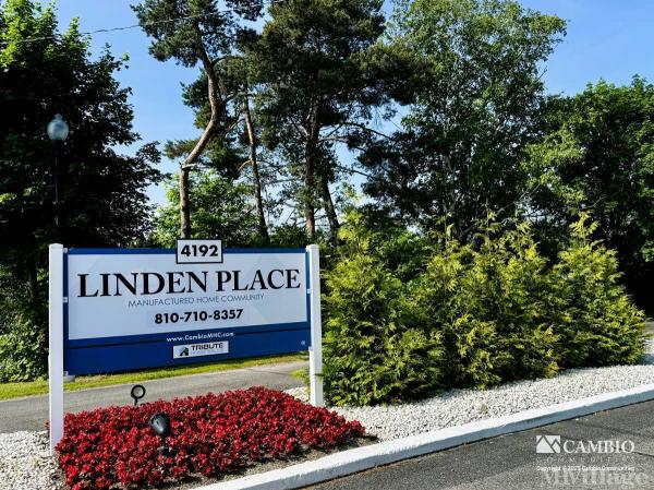 Photo of Linden Place, Flint MI