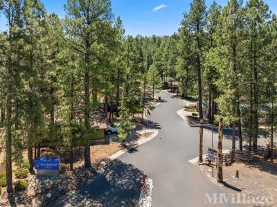 Photo 3 of 18 of park located at 2401 West Route 66 Flagstaff, AZ 86001