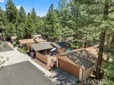 Photo 4 of 18 of park located at 2401 West Route 66 Flagstaff, AZ 86001