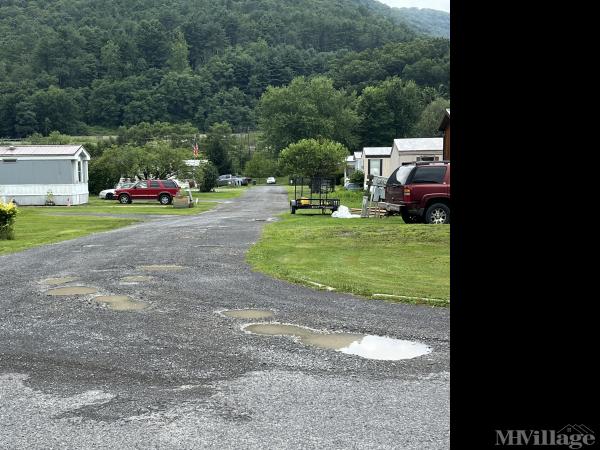 Photo 0 of 2 of park located at Bittner Park Trout Run, PA 17771