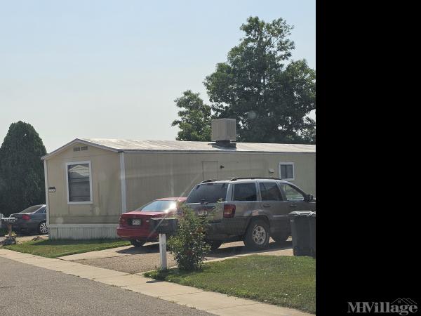 Photo of La Luna, Lafayette CO