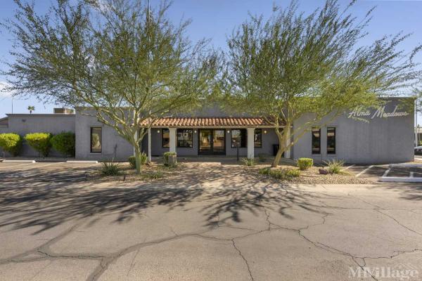 Photo of Alma Meadows, Mesa AZ