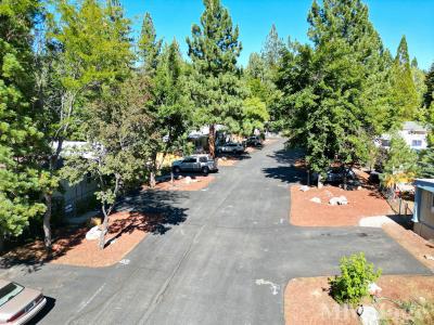 Photo 2 of 11 of park