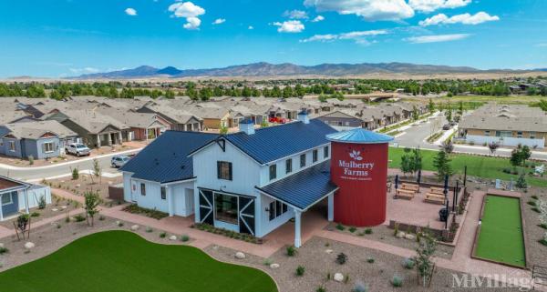 Photo of Mulberry Farms, Dewey AZ