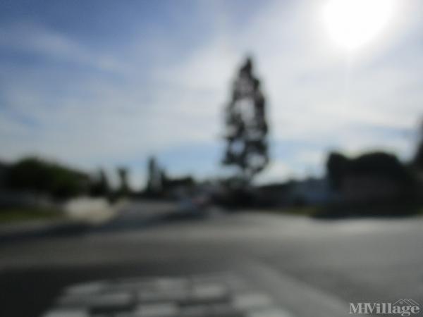 Photo 0 of 2 of park located at 3663 Buchanan Avenue Riverside, CA 92503