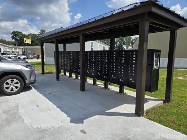 Photo of Caney Station, New Caney TX