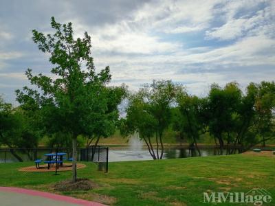 Mobile Home Park in Nevada TX