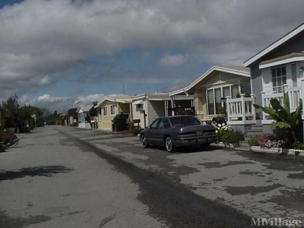Photo 0 of 2 of park located at 49 Blanca Lane Watsonville, CA 95076