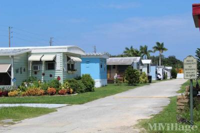 Photo 4 of 13 of park located at 1311 Turnbull Street New Smyrna Beach, FL 32168