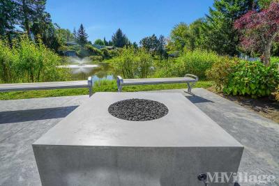 Photo 5 of 40 of park located at 570 North 10th Avenue Cornelius, OR 97113