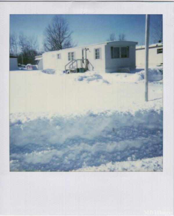 Photo of Southgate Mobile Village , Coleman MI