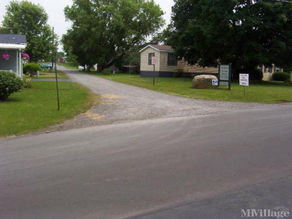 Photo of Southern Springs Mobile Home Park, Union Springs NY