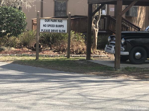 Photo 0 of 2 of park located at 410 NE 5th St Williston, FL 32696