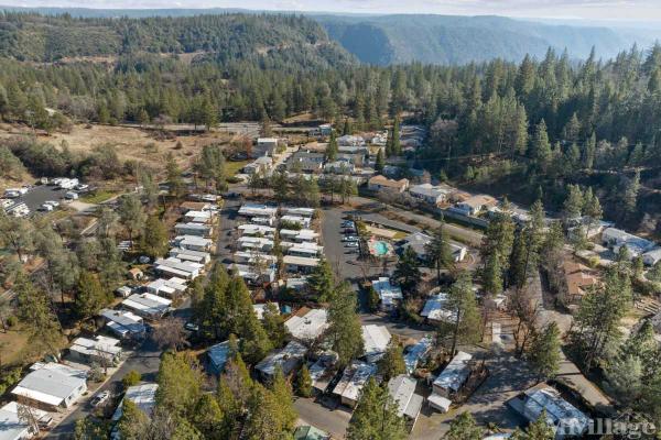 Photo of Shady Glen Estates, Colfax CA