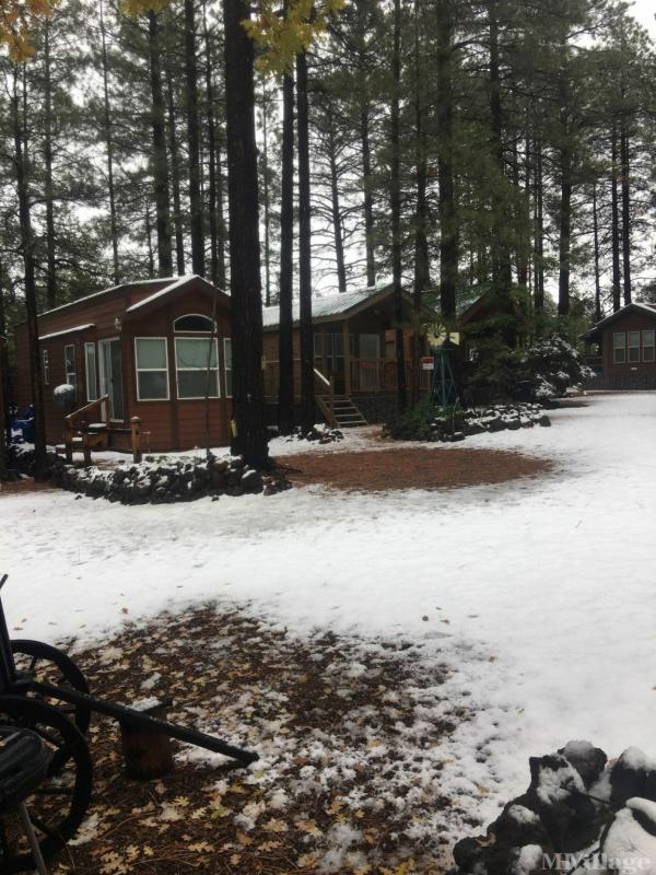 Photo of Summer Jane, Pinetop AZ