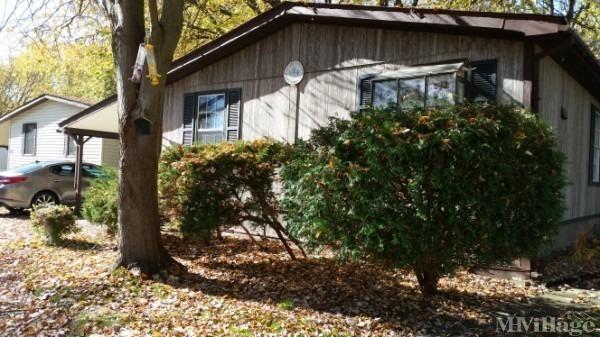 Photo of Shoreline Terrace, Beach Park IL